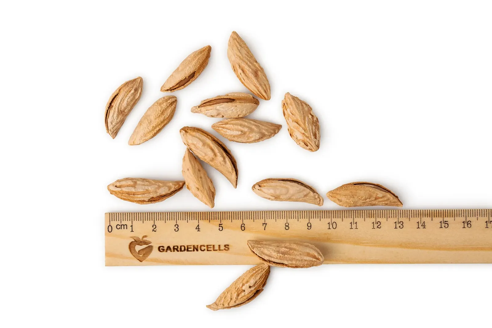 Almonds “Sword”
