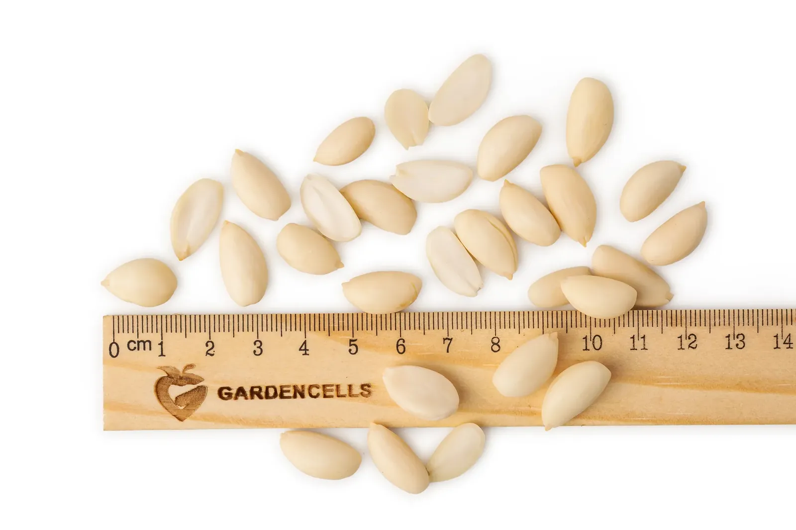 Almonds “Peeled”