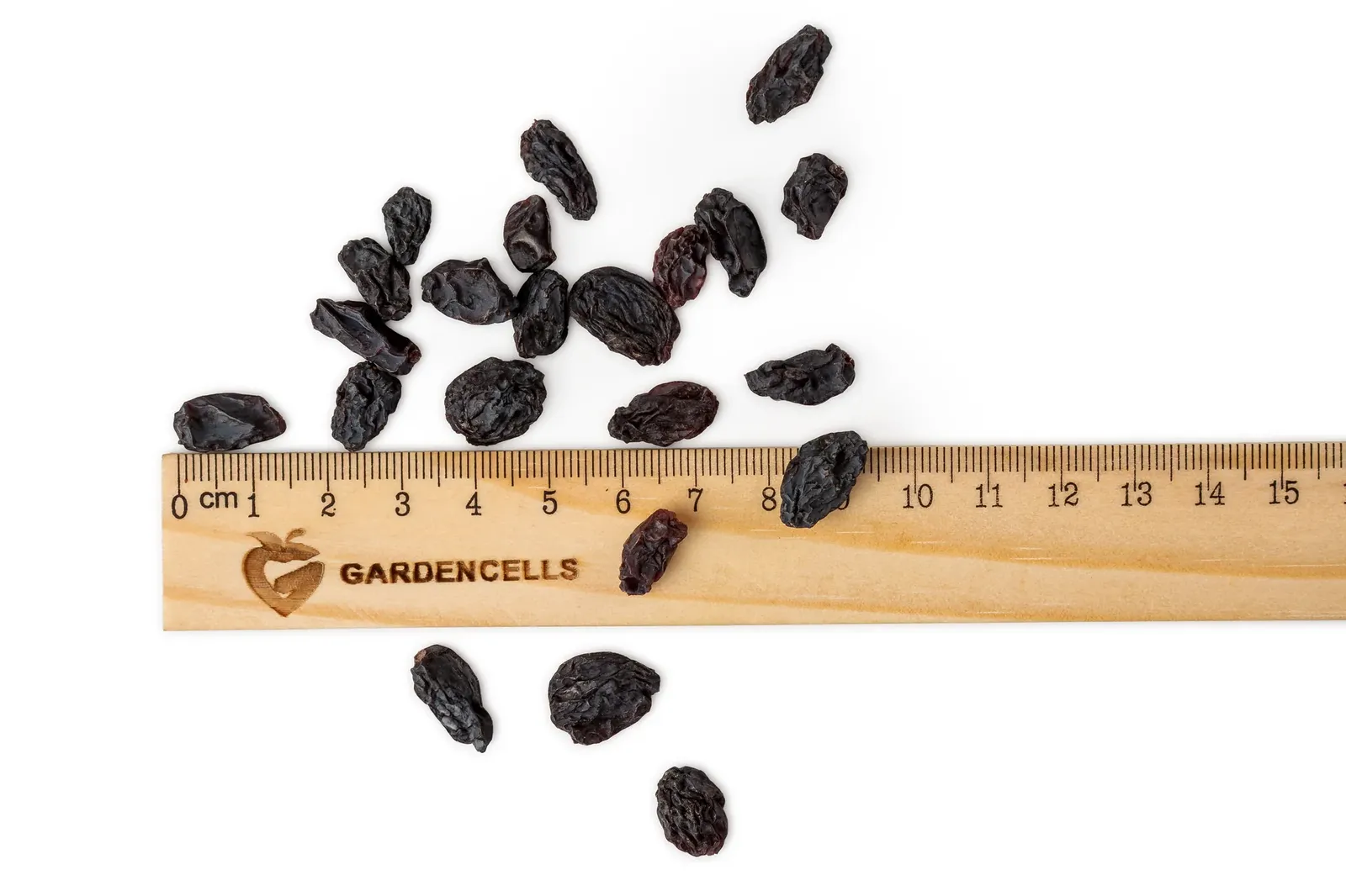 Raisins “Soyaki” (size 4)