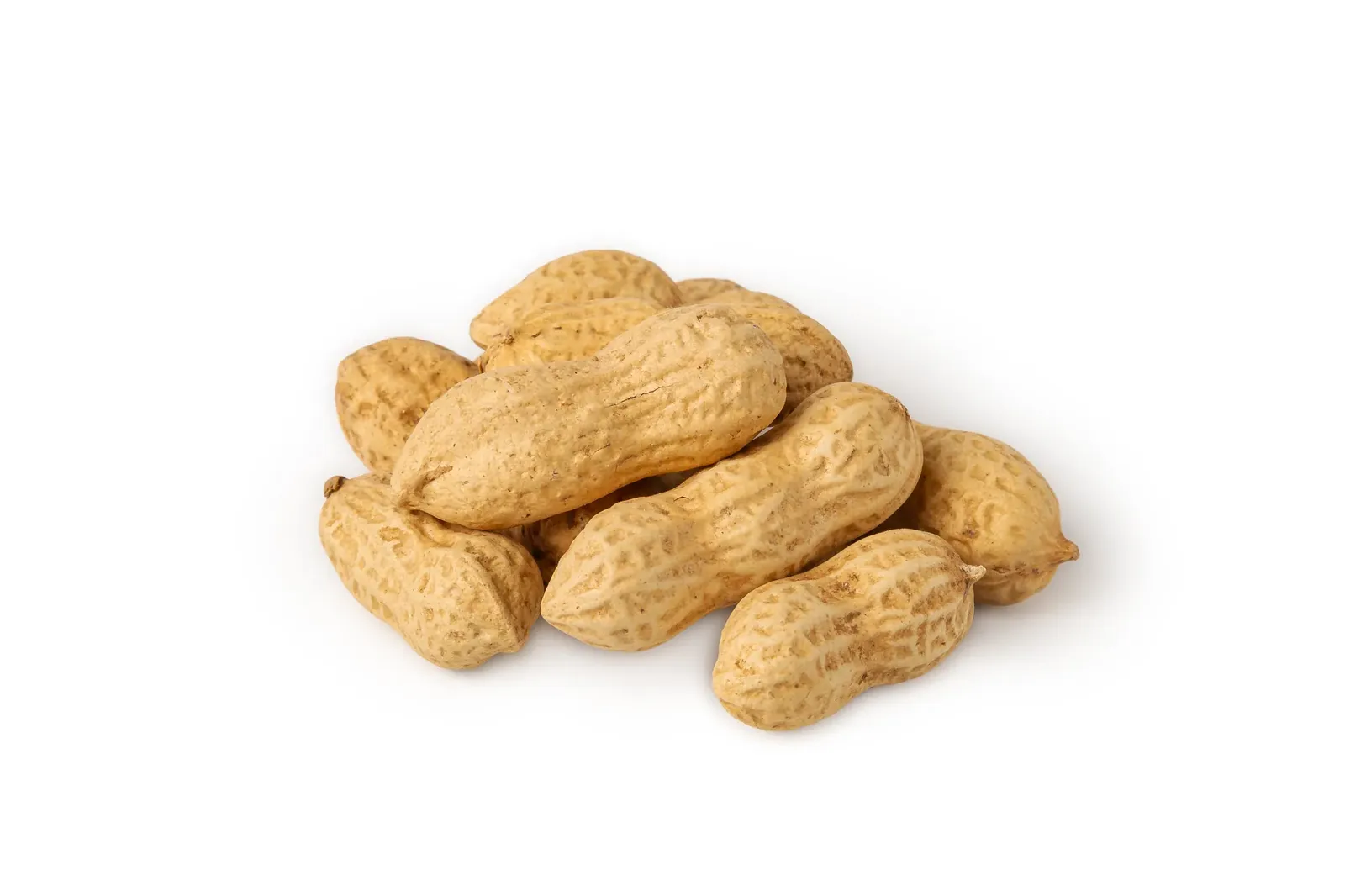 Peanuts in shell “Roasted”