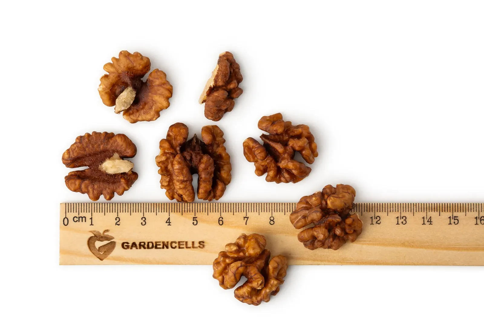 Walnuts “Dark”